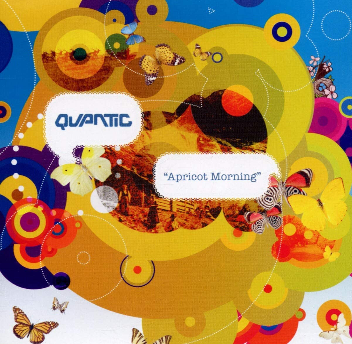 Quantic Apricot Morning (CD) Album
