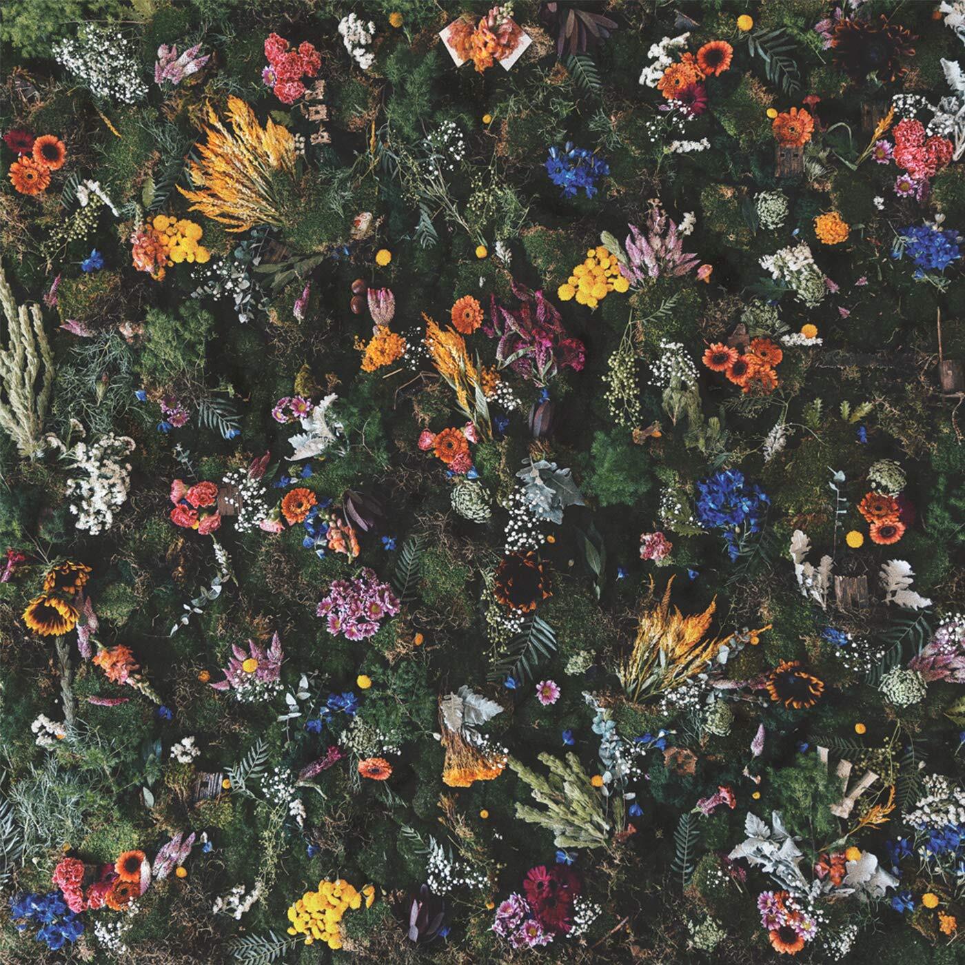 7024783 Audio Cd Winterbourne - Echo Of Youth