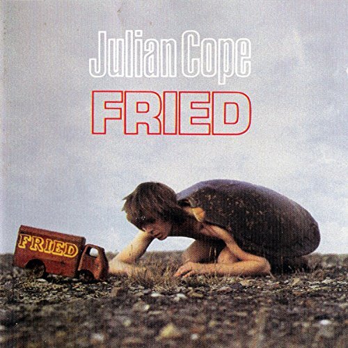 Audio Cd Julian Cope - Fried (2 Cd)