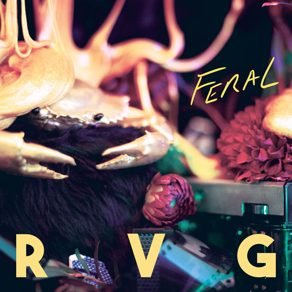 RVG Feral (Vinyl LP) 12" Album Coloured Vinyl (Limited Edition)