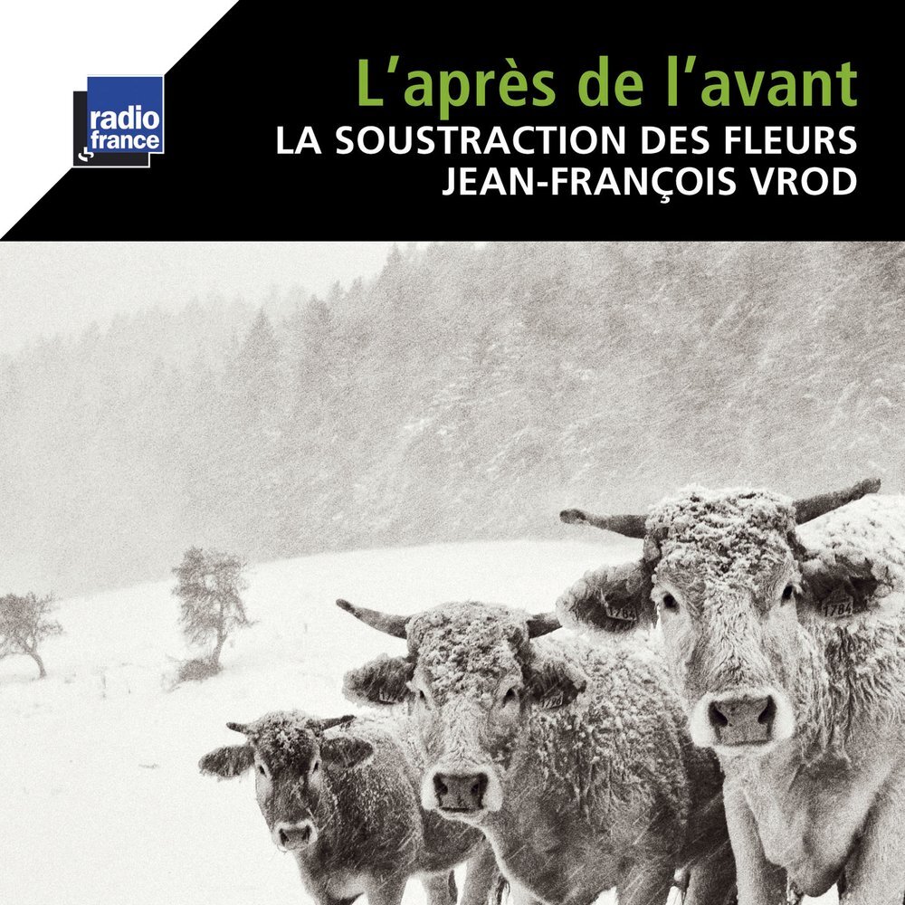 Jean-François Vrod L'Après De L'Avant (CD)