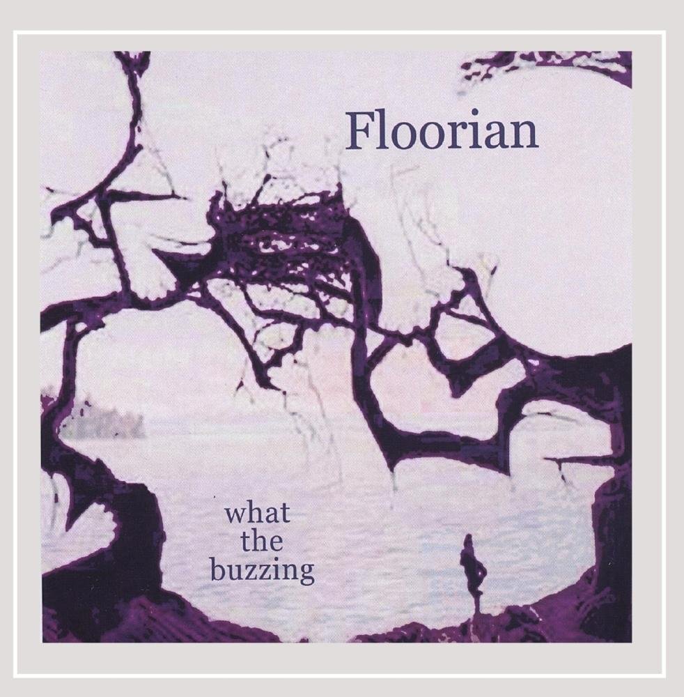 Floorian What the Buzzing (CD)