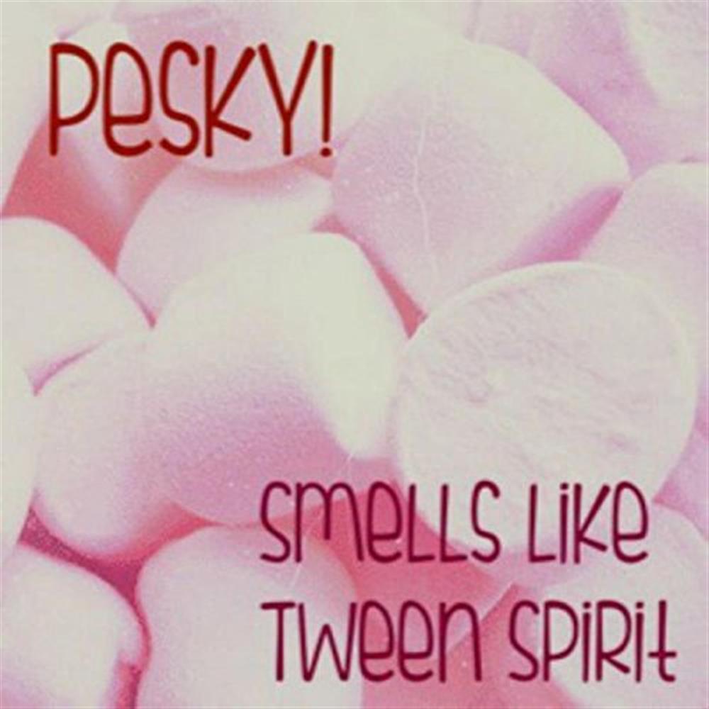 Smells Like Tween Spirit - Pesky (Audio cd)
