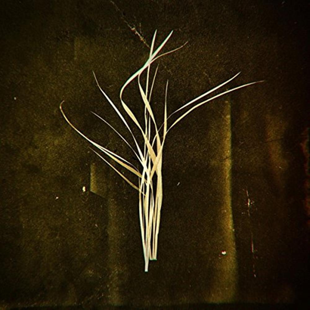 Mnemosyne - Lumisokea (Vinile)