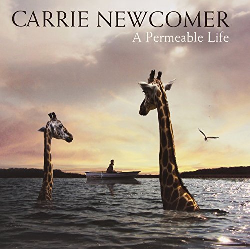 Carrie Newcomer A Permeable Life (Vinyl LP)