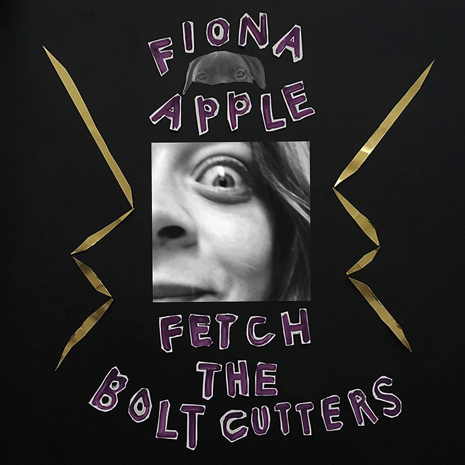 Audio Cd Fiona Apple - Fetch The Bolt Cutters