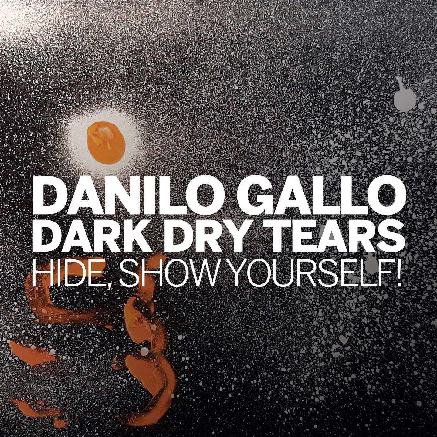 Danilo Gallo - Hide, Show Yourself