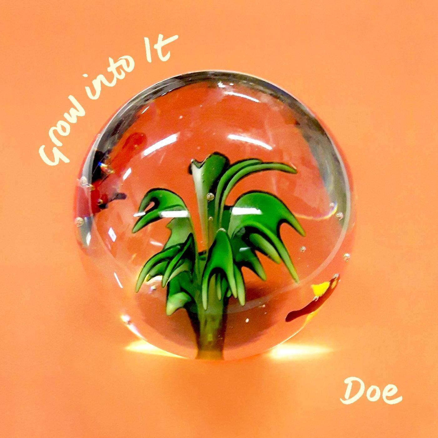 Doe Grow into It (Cassette)