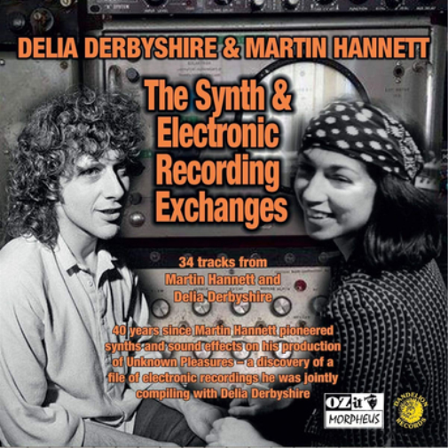 Delia Derbyshire & Martin Han The Synth & Electronic Recording Excha (Vinyl LP)