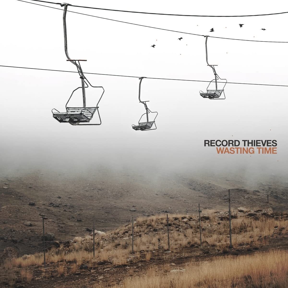 Record Thieves Wasting Time (Vinyl LP)