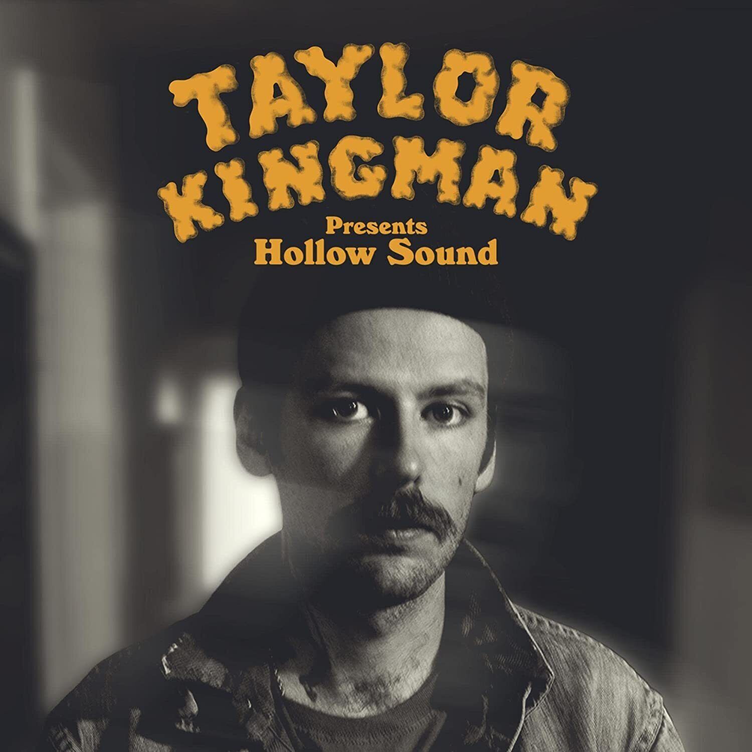Taylor Kingman Hollow Sound (CD) Album