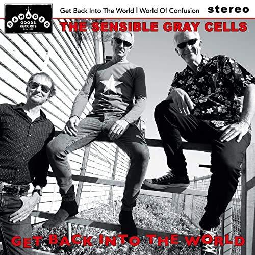 The Sensible Gray Cells Get Back Into the World (Vinyl LP)