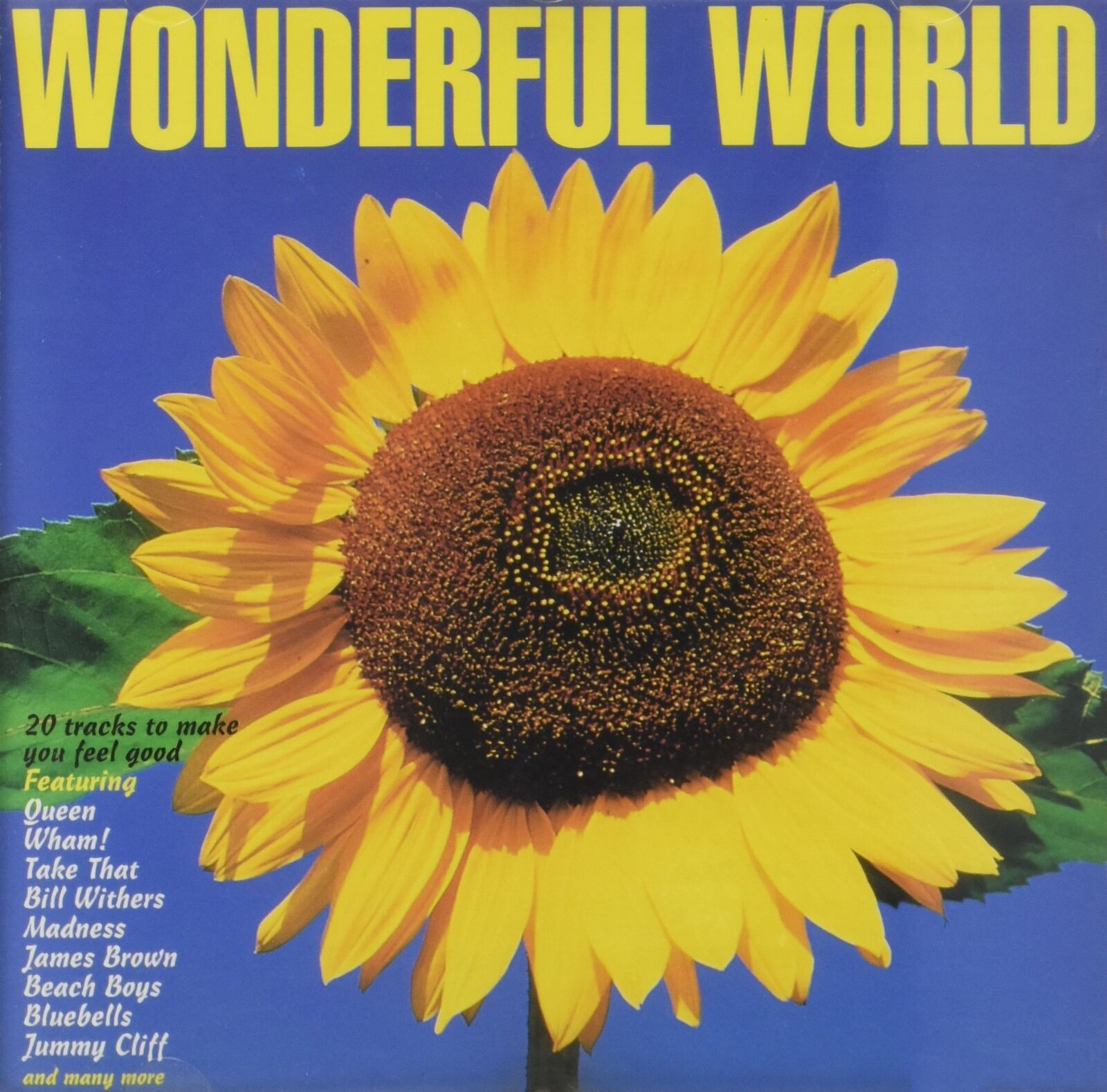 Wonderful World Wonderful World (CD)