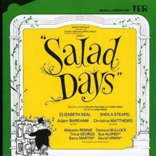 Various Artists Salad Days (CD) Album
