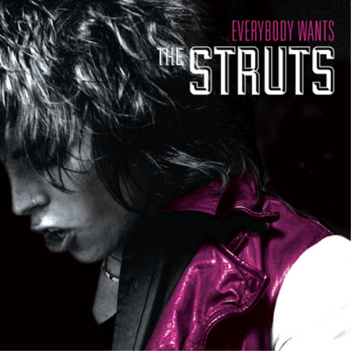 The Struts Everybody Wants (CD) Album