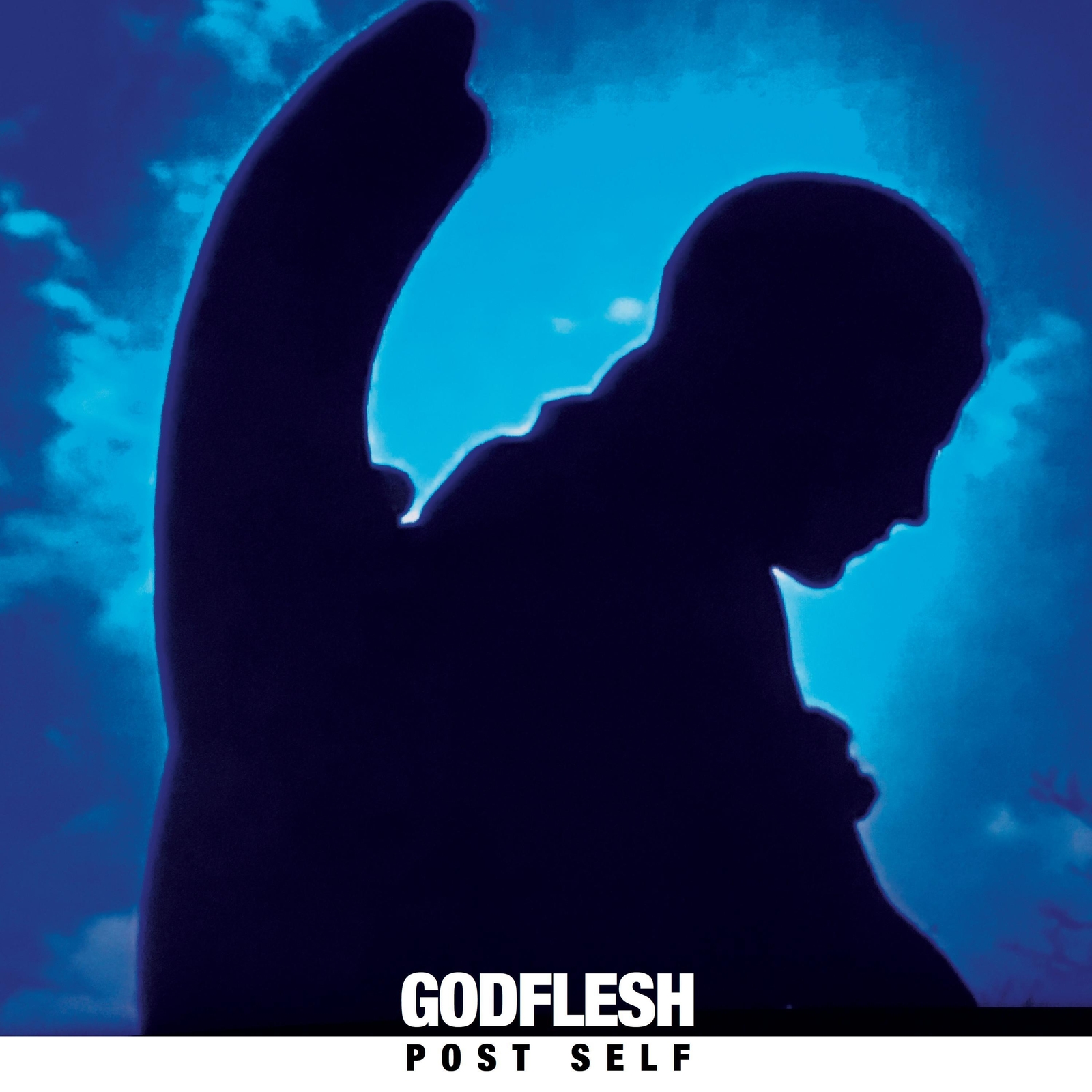 Godflesh Post Self (Vinyl LP) 12" Album Coloured Vinyl