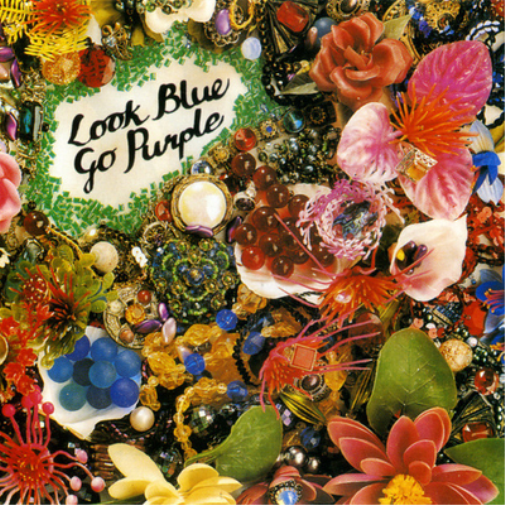 Look Blue Go Purple Still Bewitched (Vinyl LP) Expanded  12" Album