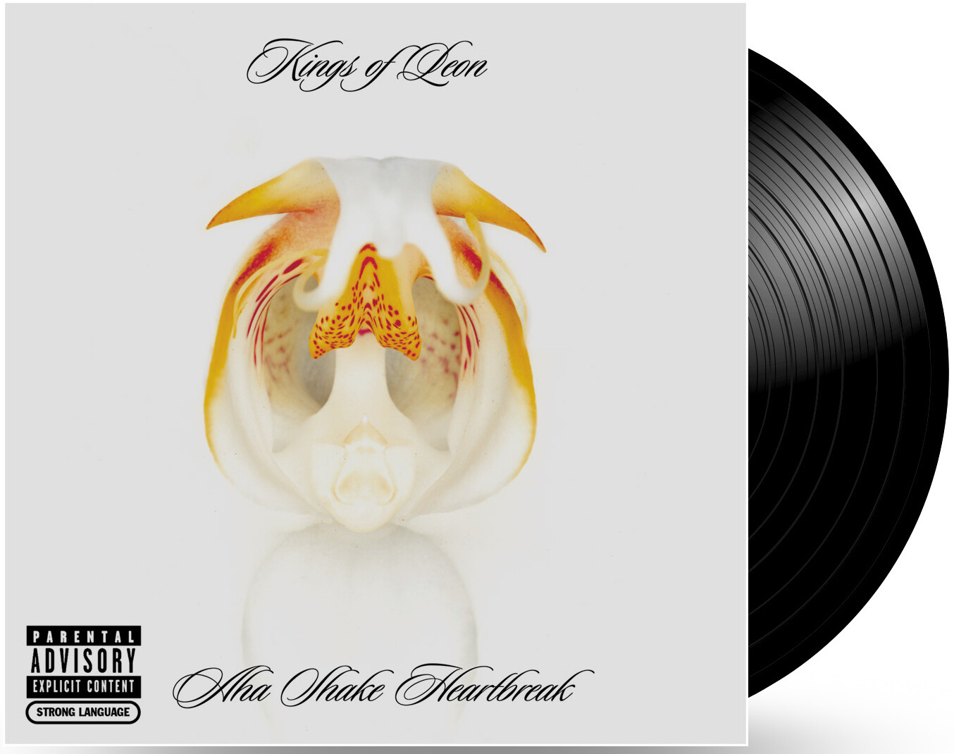 Kings of Leon Aha Shake Heartbreak (Vinyl LP) 12" Album