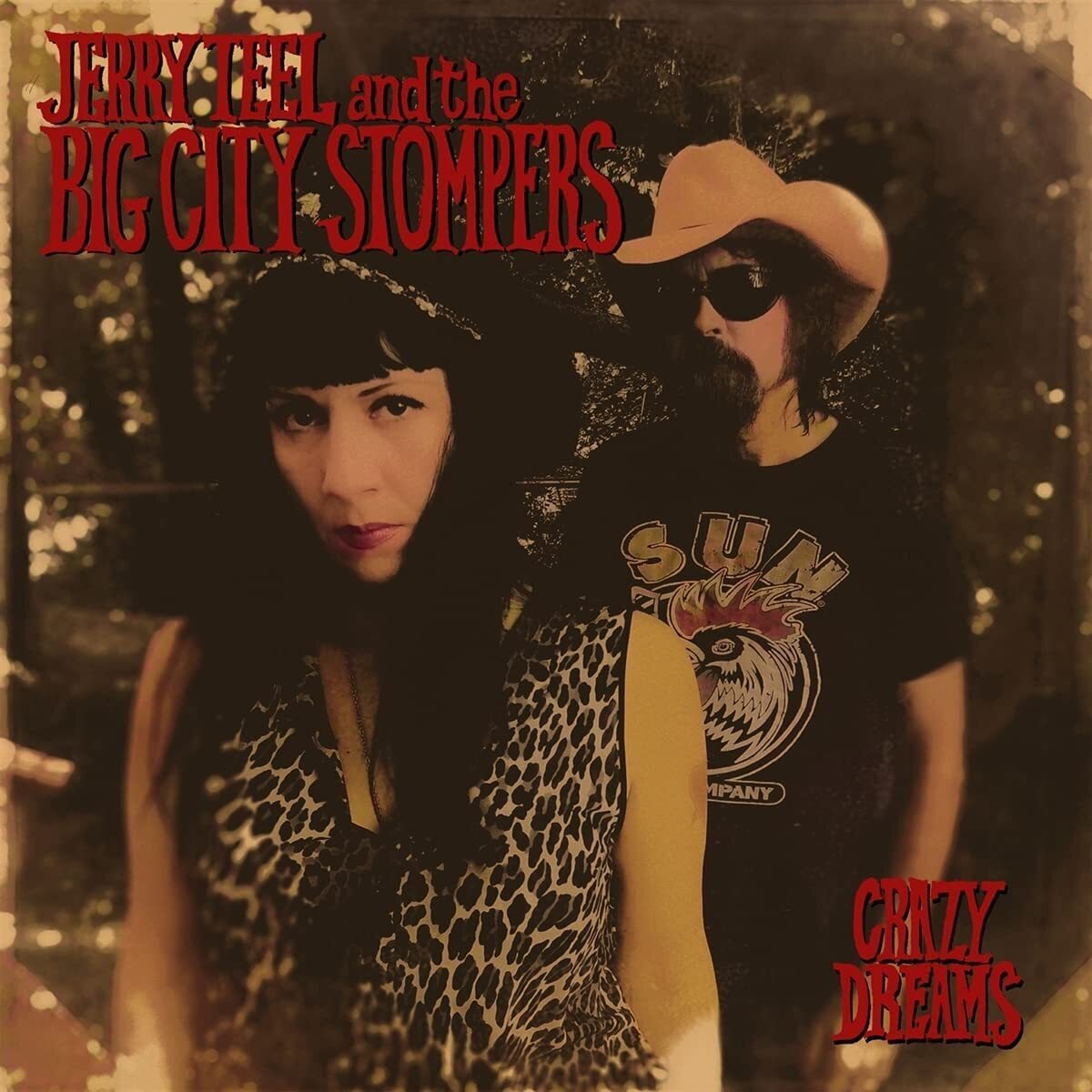 Jerry Teel and the Big City Stompers Crazy Dreams (Vinyl LP) 12" Album