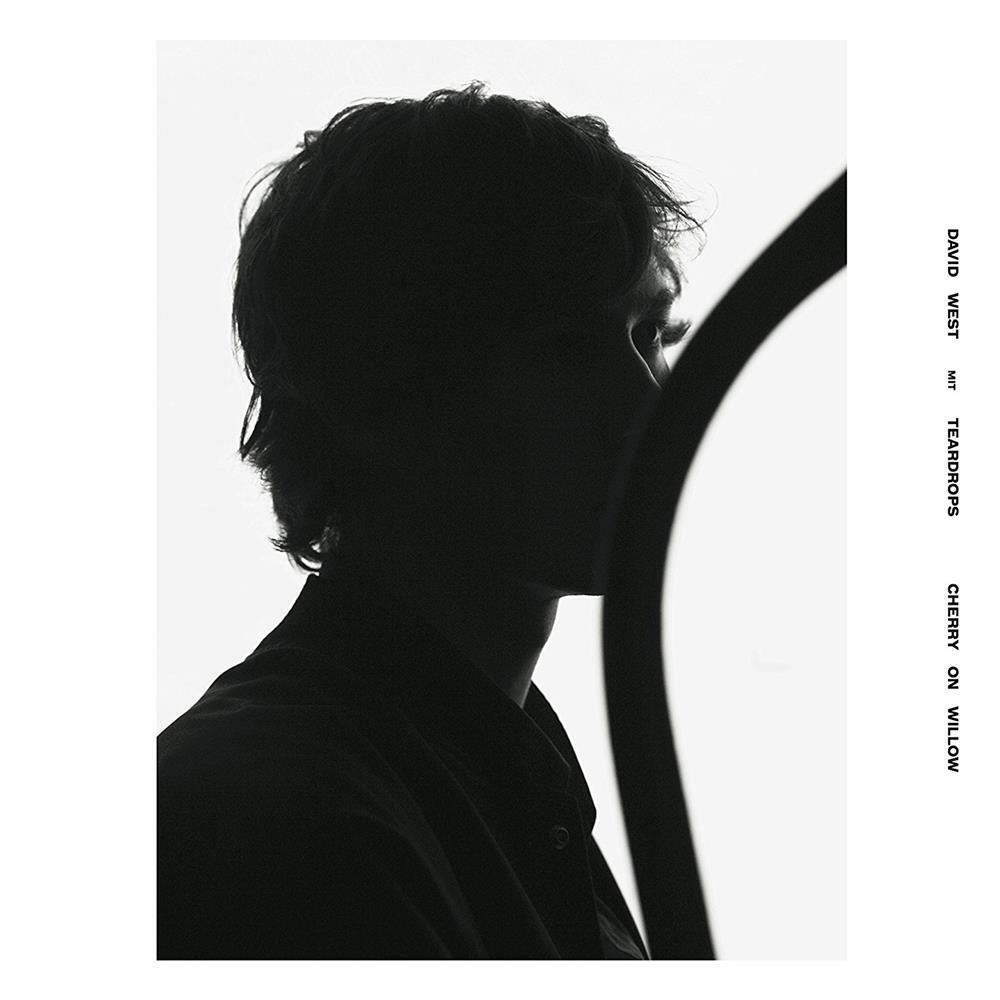 Cherry On Willow (Brown Vinyl) - David West (Vinile)