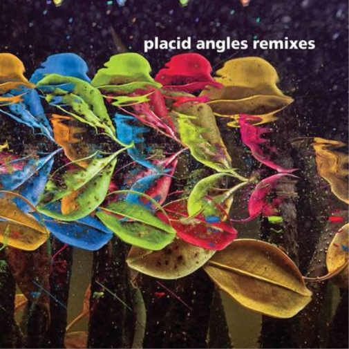 Placid Angles Touch the Earth Remixes (Vinyl LP) 12" Album