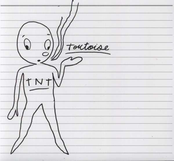 Vinile Tortoise - Tnt
