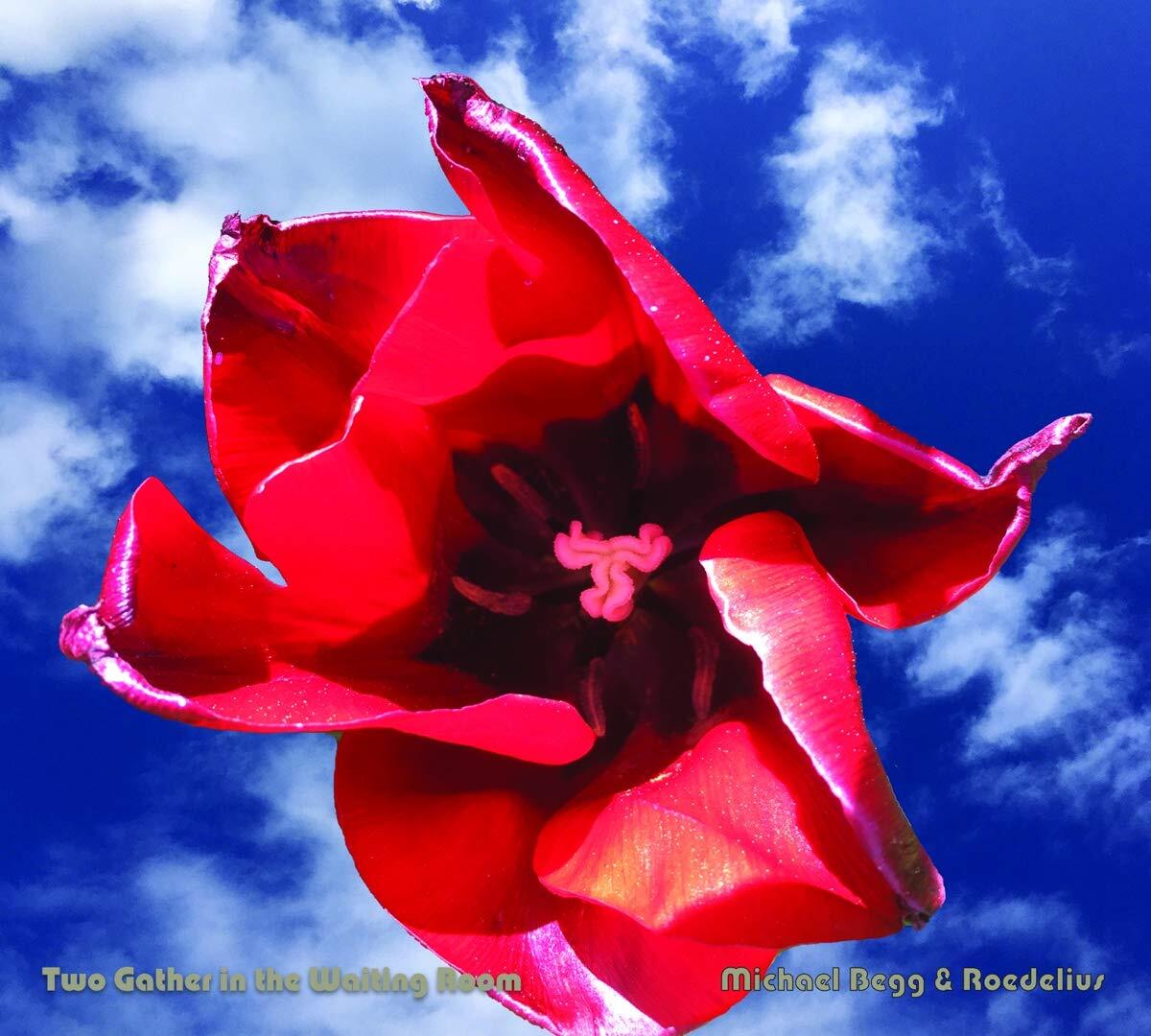 7024789 Audio Cd Michael Begg & Hans Joachim Roedelius - Two Gather In The Waiti