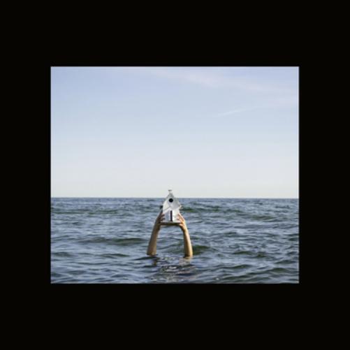 Galaxy Fingers The Last Bastion of Fox Quality (Vinyl LP) 10" Album