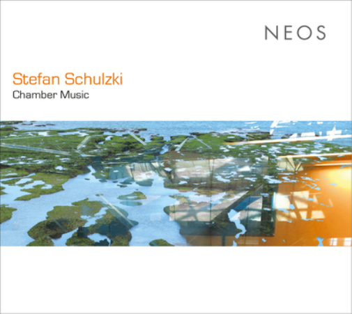 Stefan Schulzki Stefan Schulzki: Chamber Music (CD) Album