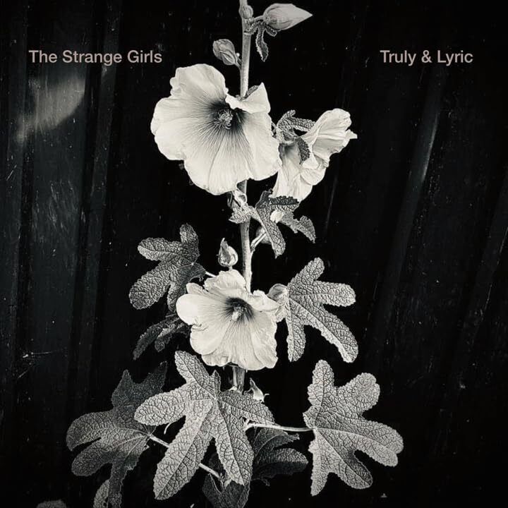 STRANGE GIRLS TRULY & LYRIC 7 NUOVO