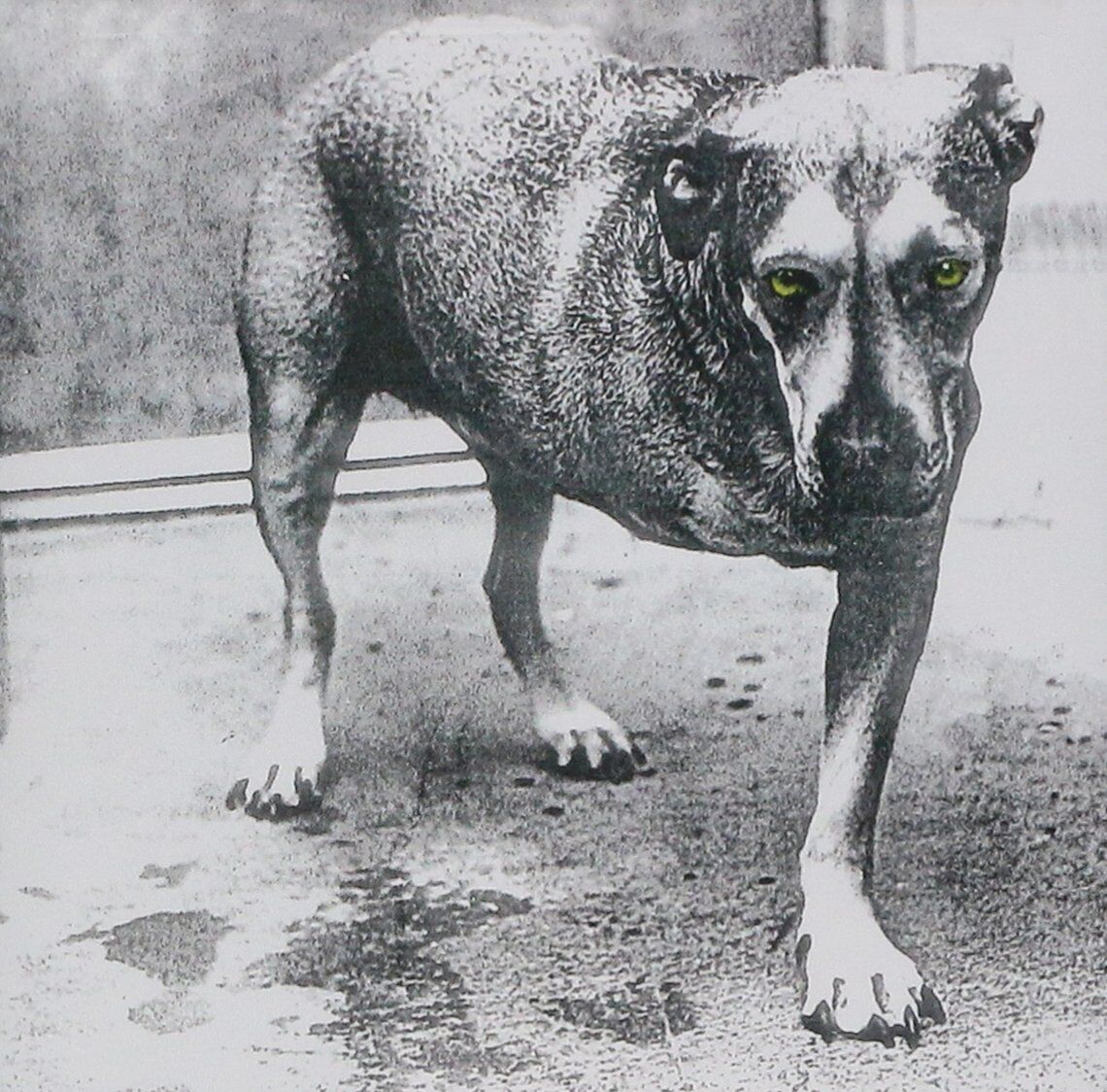 Audio Cd Alice In Chains - Alice In Chains
