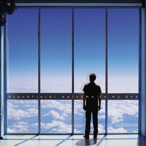 Blackfield Welcome to My DNA (Vinyl LP) 12" Album