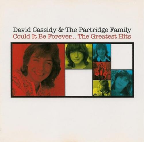 The Partridge Family Could It Be Forever... The Greatest Hits (CD) Album