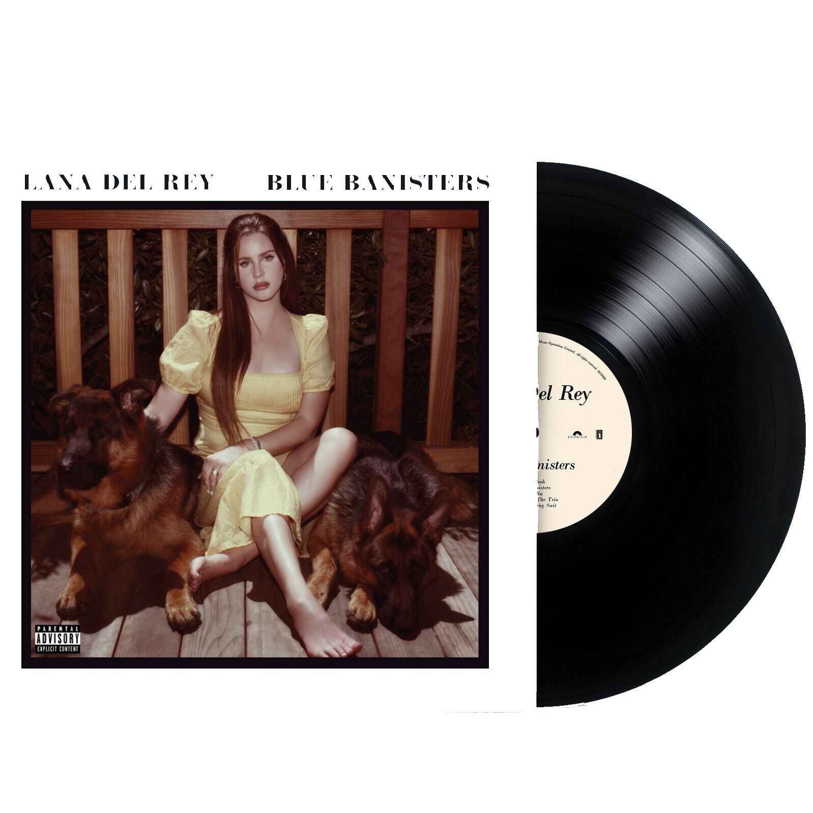 Lana Del Rey  - Blue Banisters - 2 Vinili
