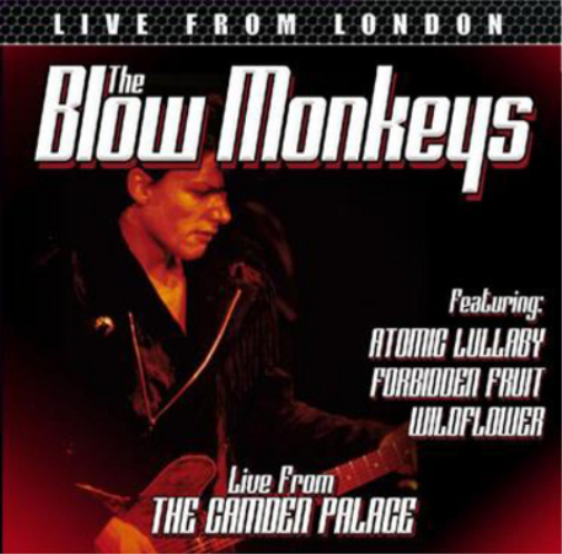 The Blow Monkeys Live from London (CD) Album