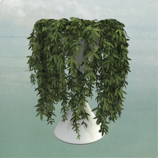 Errors Lease of Life (Vinyl LP) 12" Album