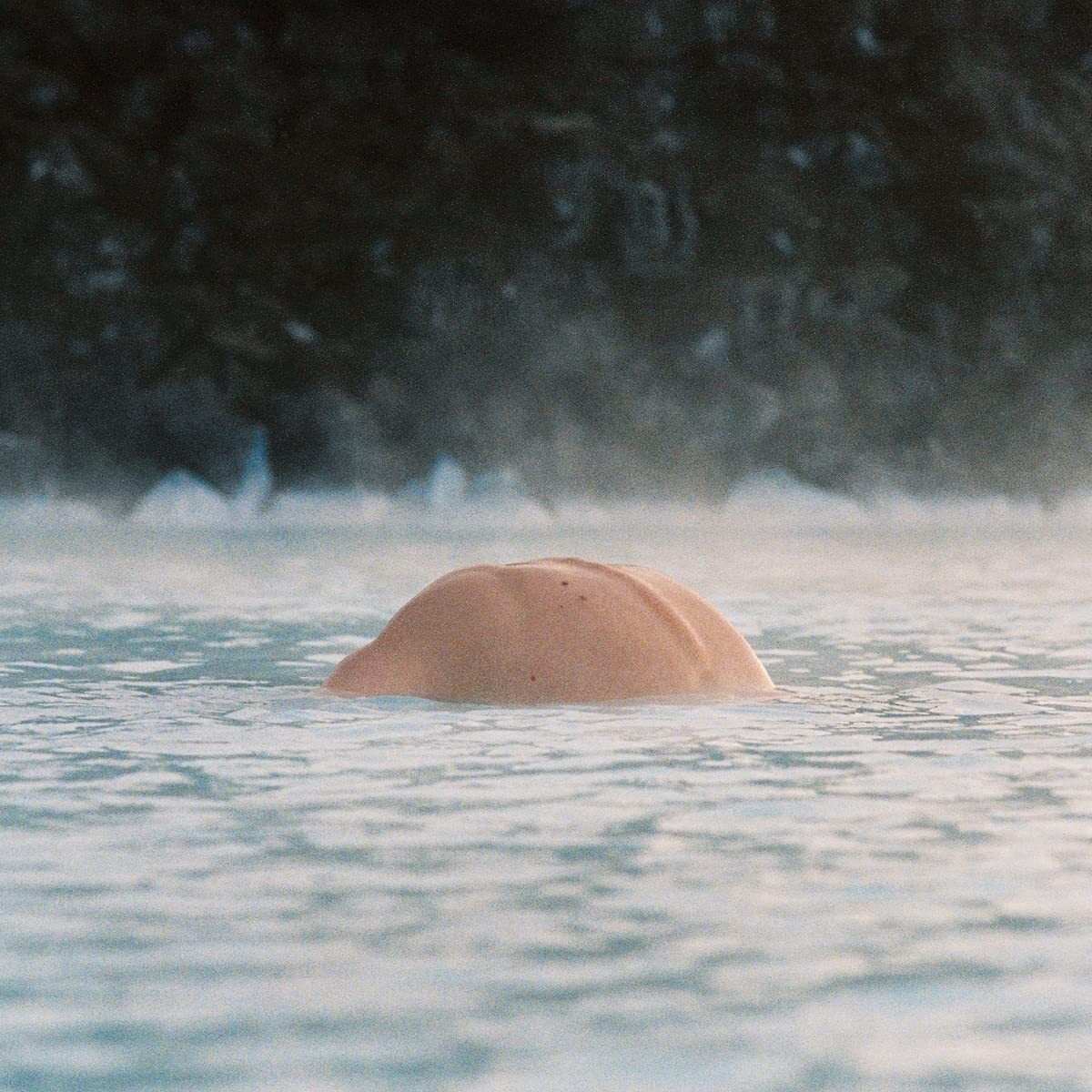 Olmo The Trunk (Vinyl LP)