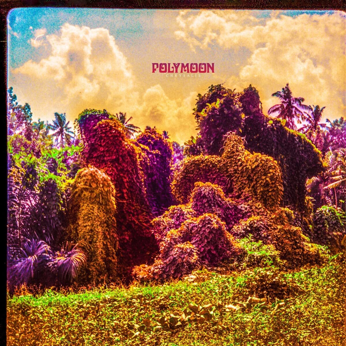 Polymoon Chrysalis (CD)