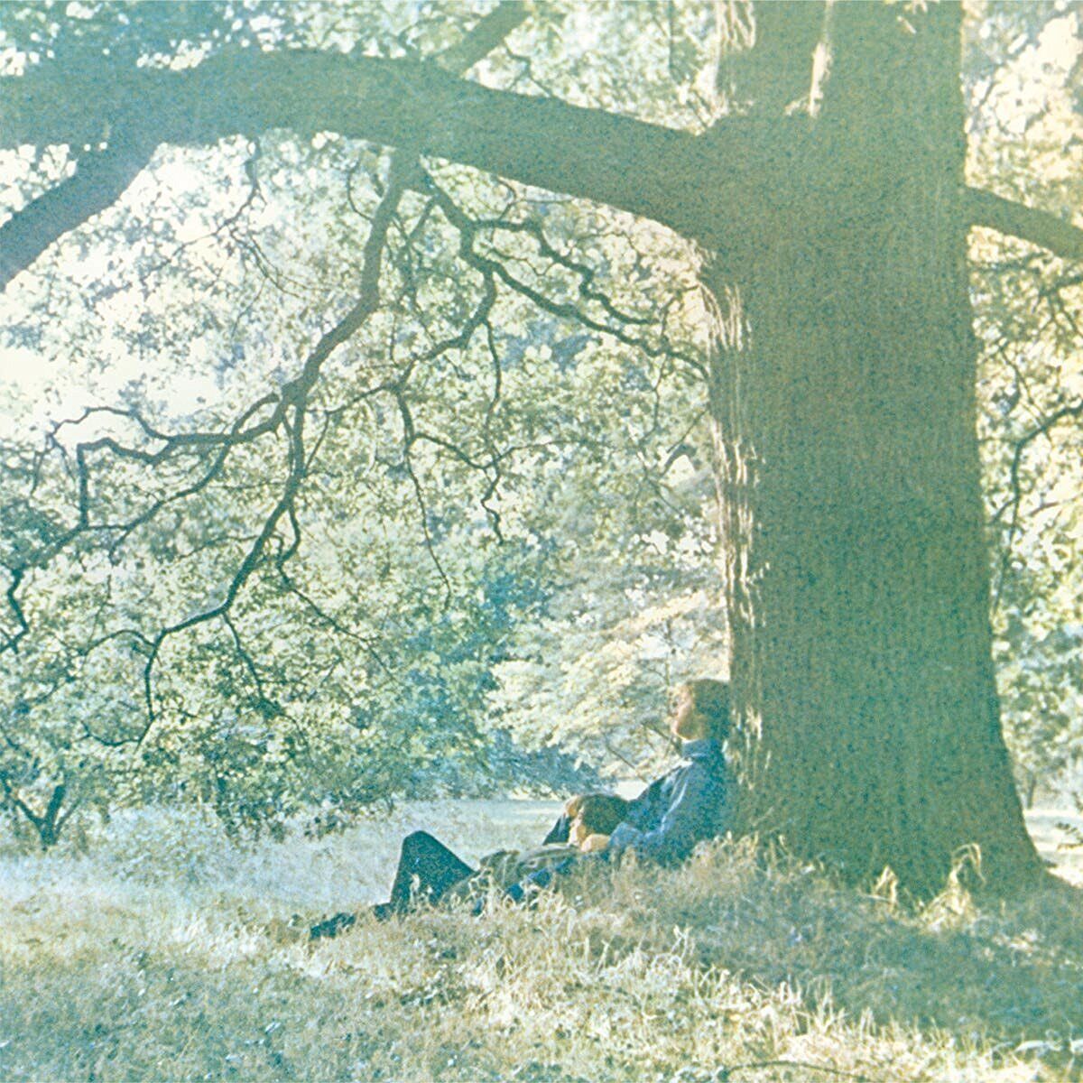 Audio Cd Yoko Ono / Plastic Ono Band - Plastic Ono Band