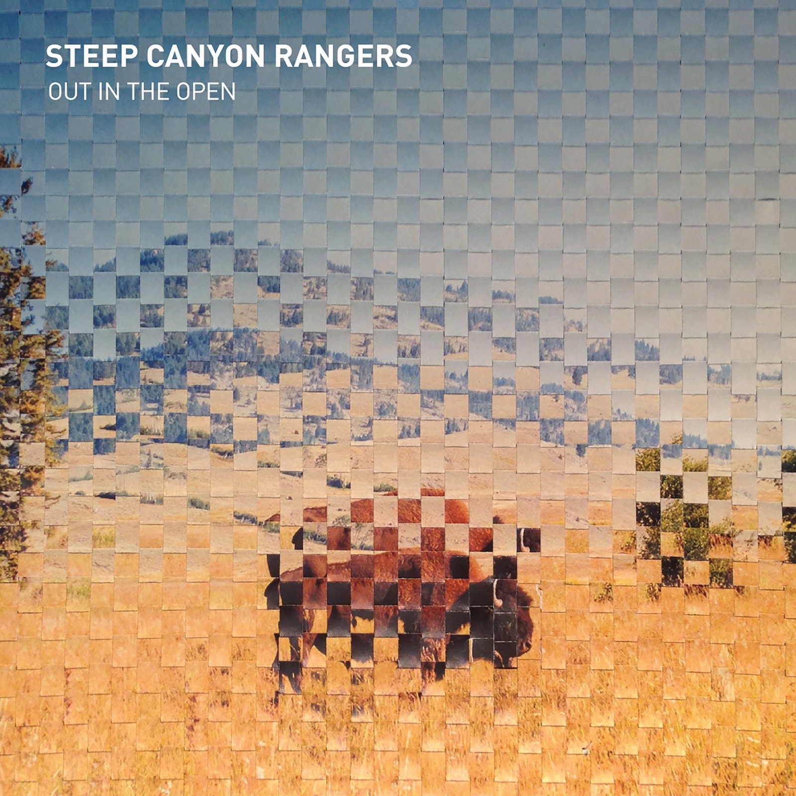 Steep Canyon Rangers Out in the Open (CD)