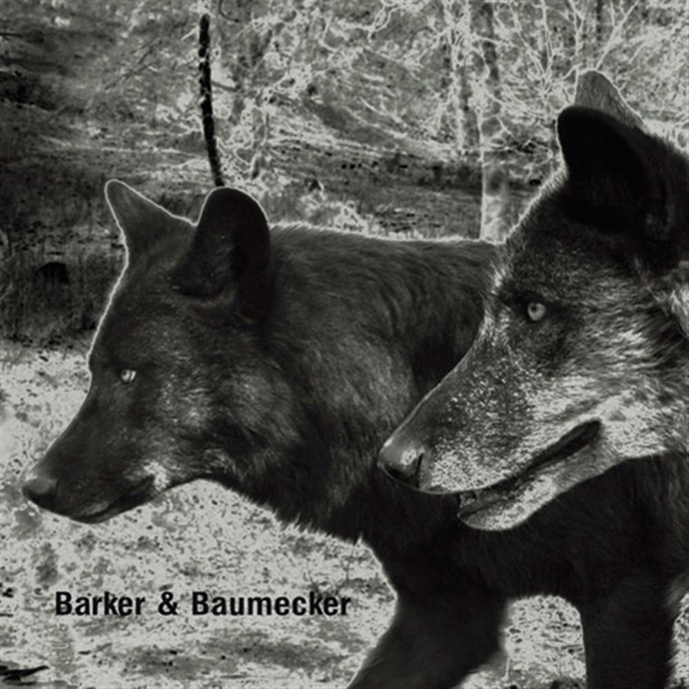 Transsektoral - Barker And Baumecker (Audio CD)