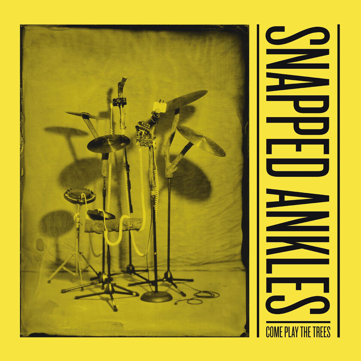 Snapped Ankles Come Play the Trees (Vinyl LP) 12" Album