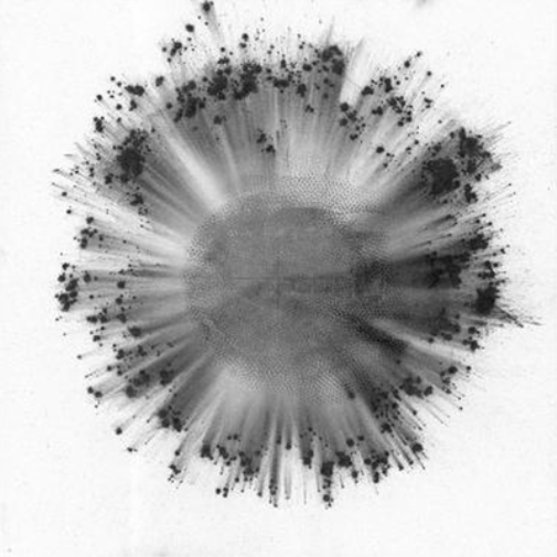 Trentemøller Obverse (Vinyl LP) 12" Album