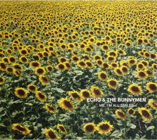 Echo & the Bunnymen Me, I'm All Smiles (CD) Album (Jewel Case)