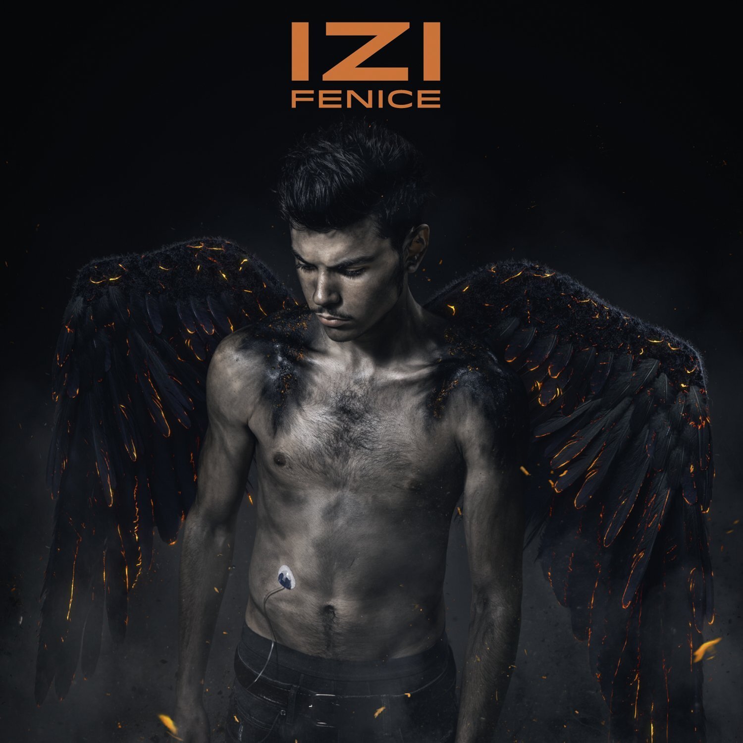 Audio Cd Izi - Fenice