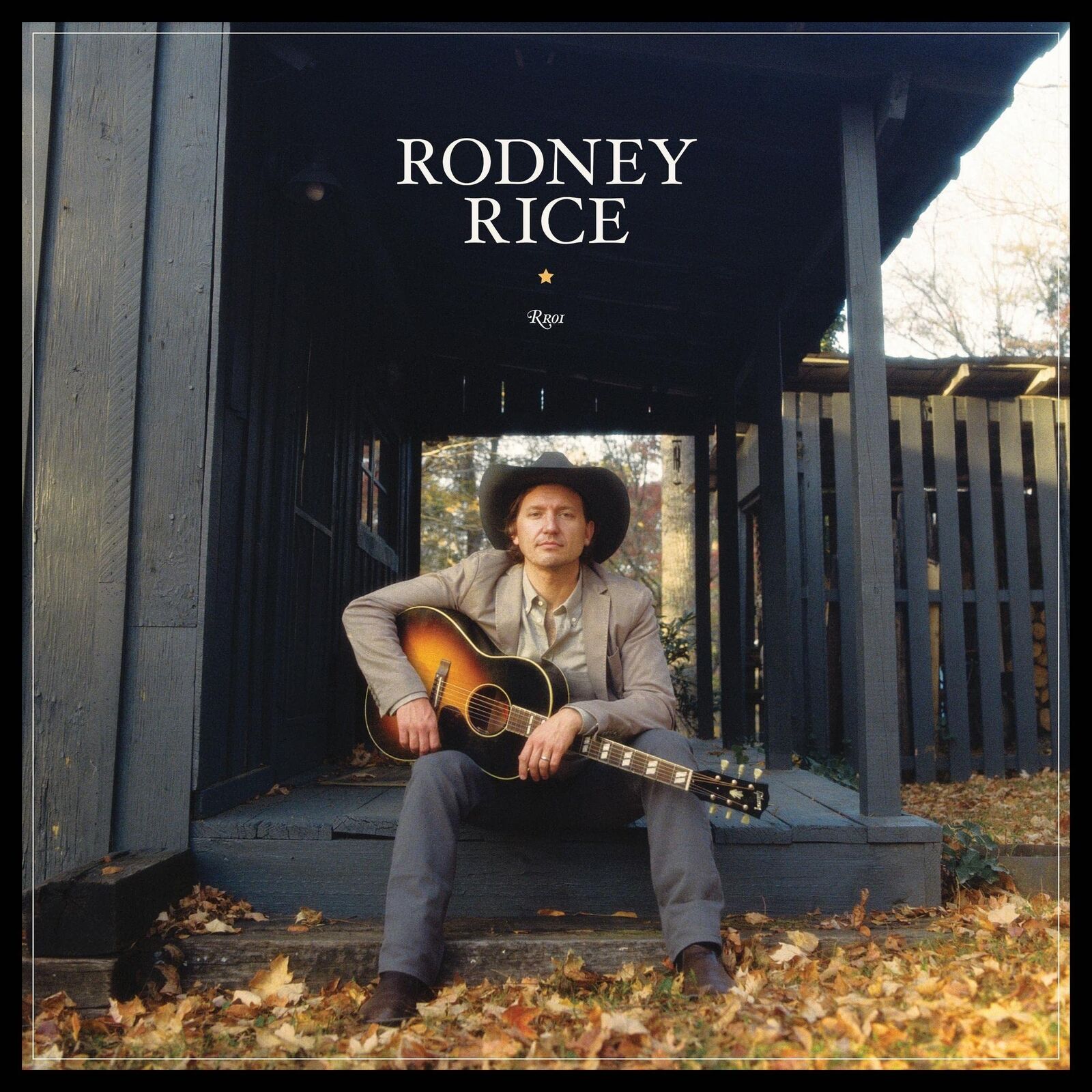 Rodney Rice Rodney Rice (CD)
