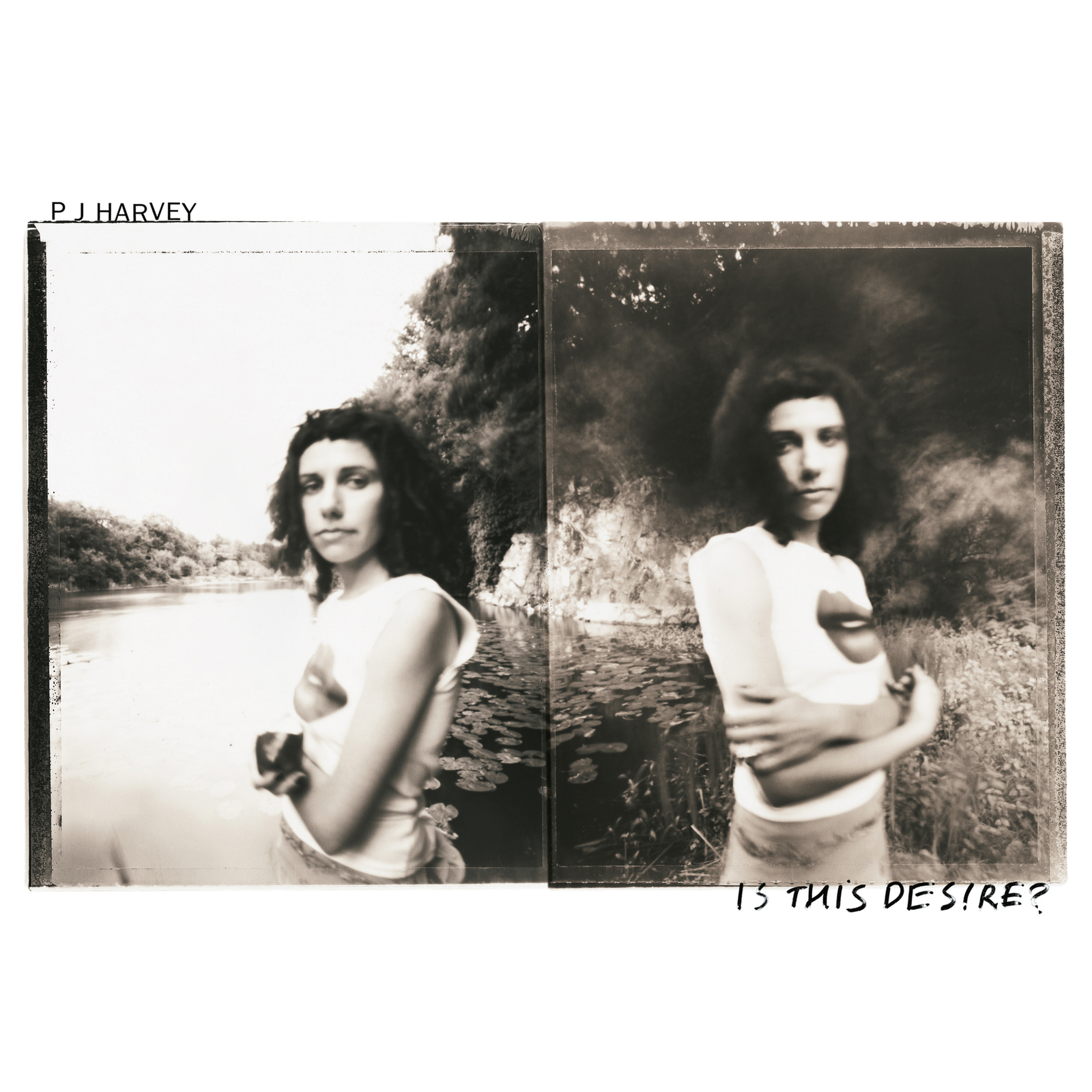 PJ Harvey Is This Desire? (Vinyl LP) 12" Album