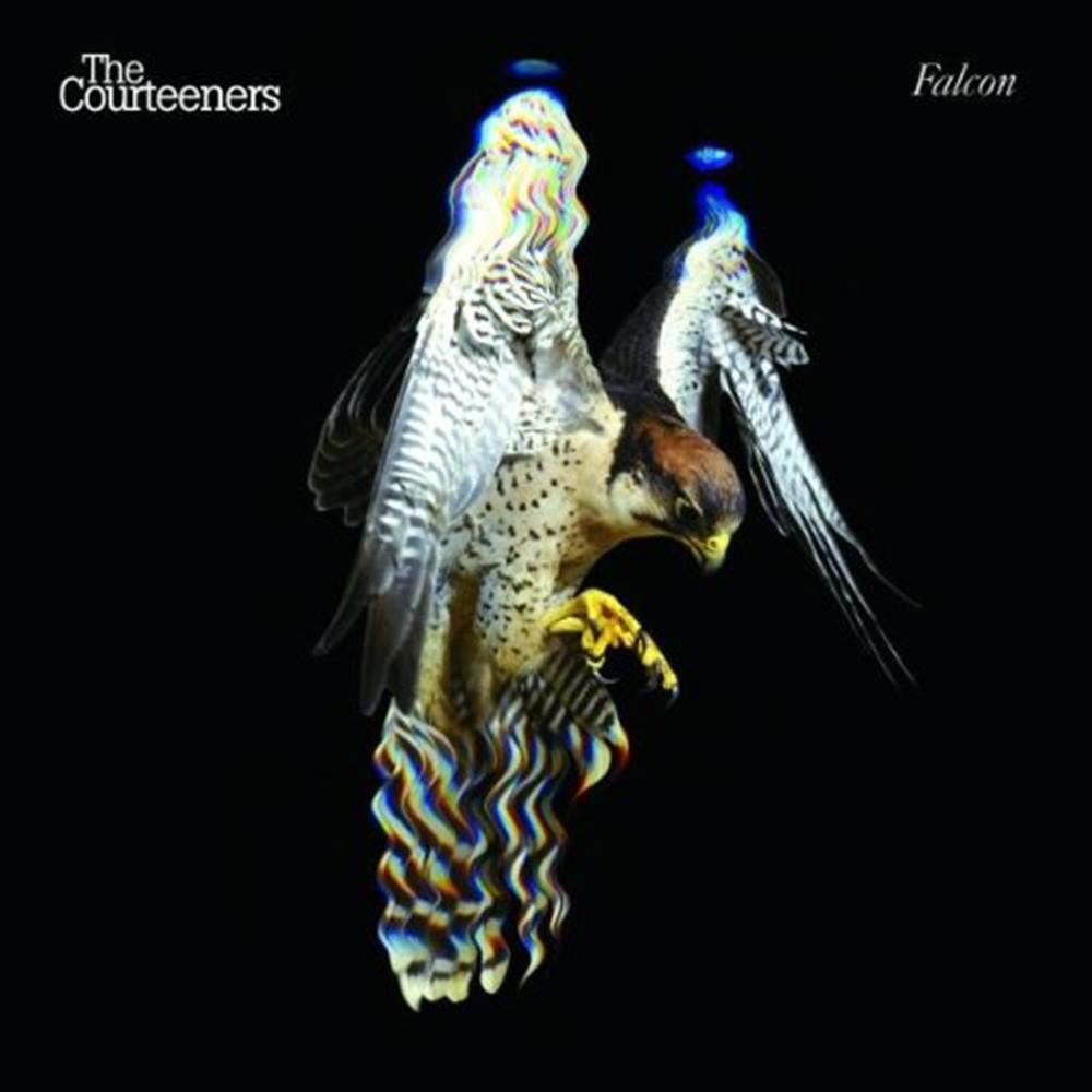Falcon - Courteeners (Audio Cd)
