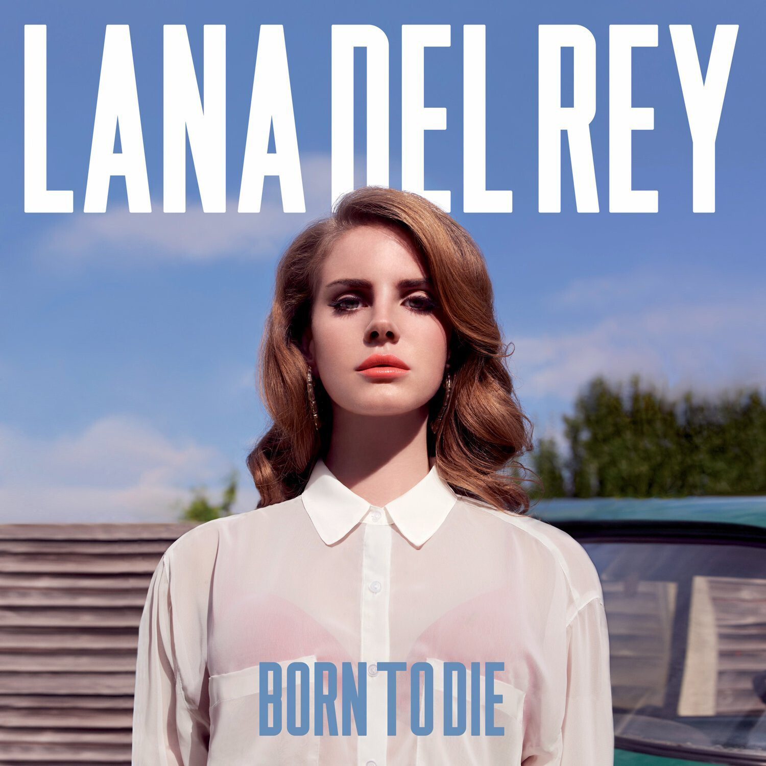 Lana Del Rey Born to Die (Vinyl LP) 12" Album
