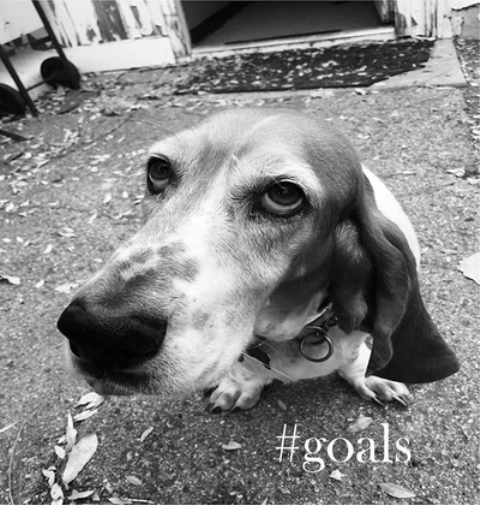 #Goals #Goals (CD) EP